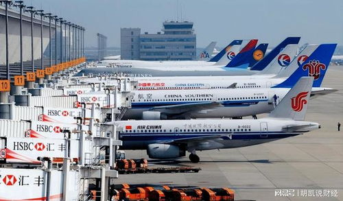 一、浦东机场国内空运服务概述