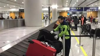 一、了解浦东机场航空件的基本要求