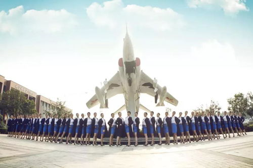 一、选择合适的航空运输服务