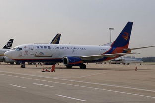 一、了解浦东国内货运航空物流的核心服务