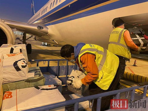 一、浦东贵重货物航空运输的特点与优势