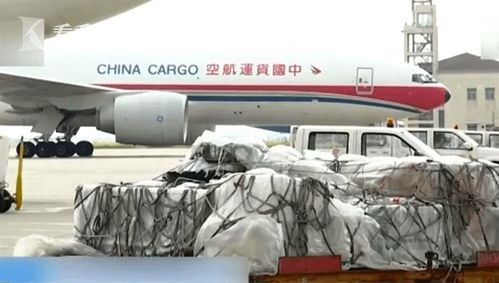 一、浦东电子产品航空货运的背景与需求