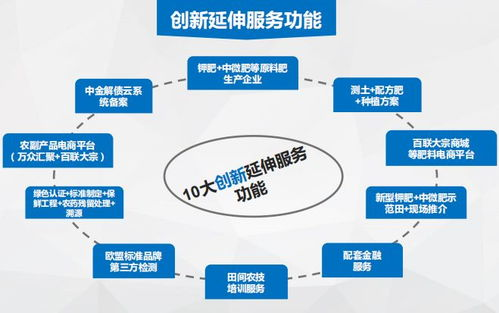 服务范围与专业能力