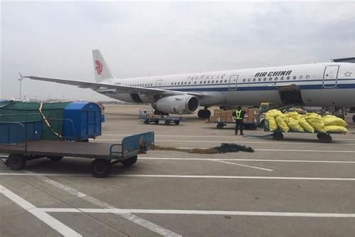 一、浦东航空运输公司的业务范围与优势