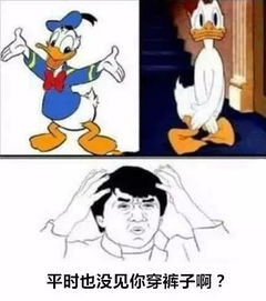 《吊带袜天使》：这部成人向动画为何能