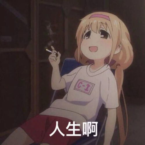 《小逗的日子第一季》：萌宠治愈系动画，为何让人欲罢不能？