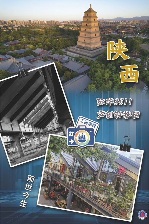 《新：双姝》：这部女性题材电影为何引