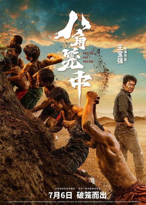 《无以为家》