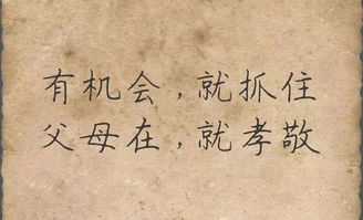 《明月几时圆》：这部文艺片为何让观众泪流满面？