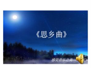 《昨夜花未眠》：一场关于爱与救赎的深夜独白