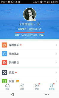 一、百度云资源群网站的基础操作
