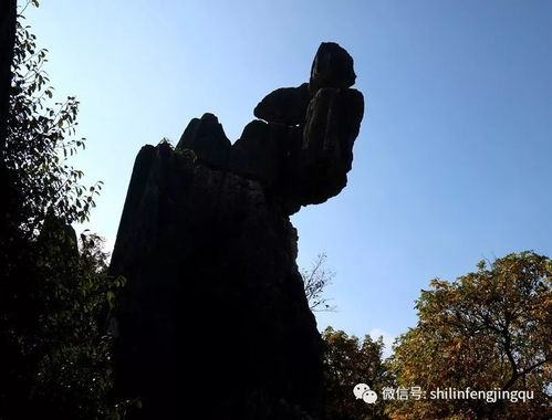 穿越时空的石头史诗