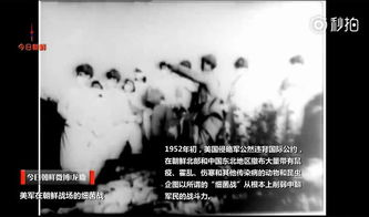 越南战争阴影下的双面人生