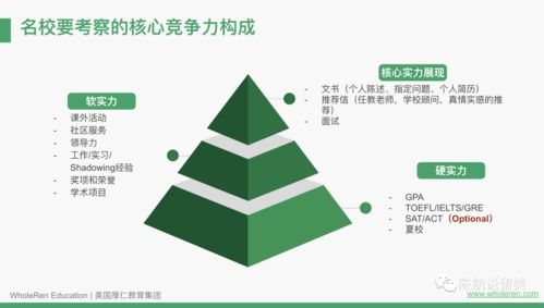 《名校》：一部揭露教育内卷的震撼之作