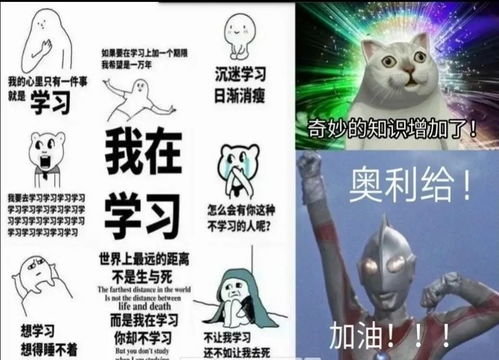 《后半生第一季》：丧偶后的黑色幽默，如何治