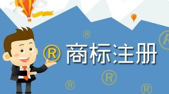 服务优势与选择要点