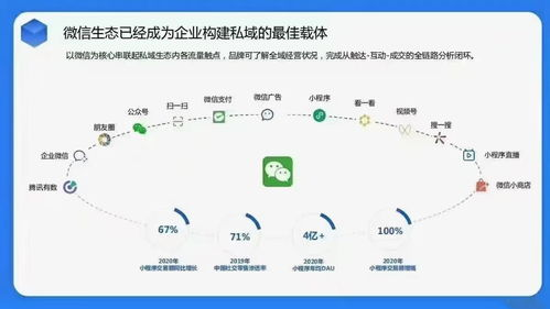 服务内容与优势