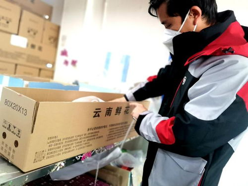 选择优质服务,保障时效