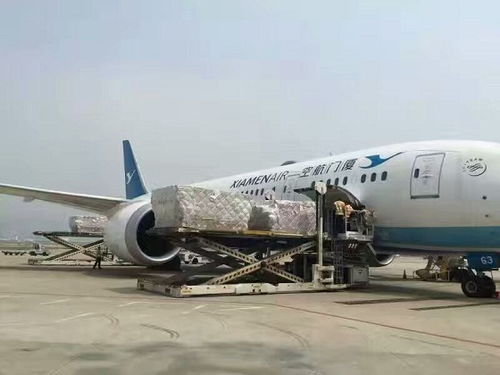 一、了解天河宠物空运的基础服务