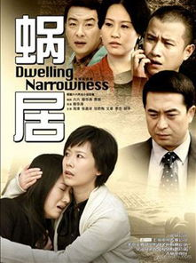 影视基本背景:豪门题材的经典之作