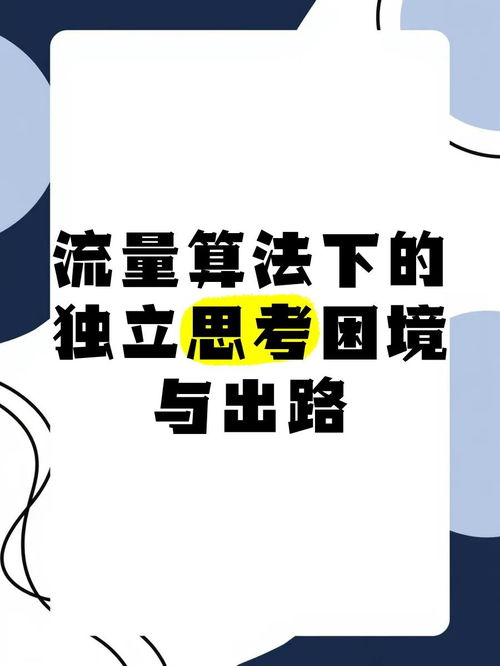 【基本信息：一场荒诞的流量狂欢】