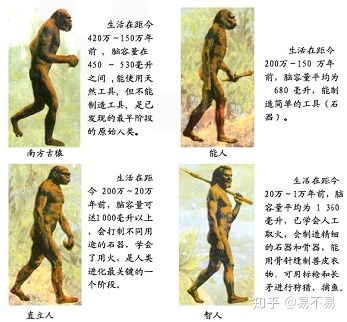 地球人实在太凶猛了，人类文明的暴力进化史