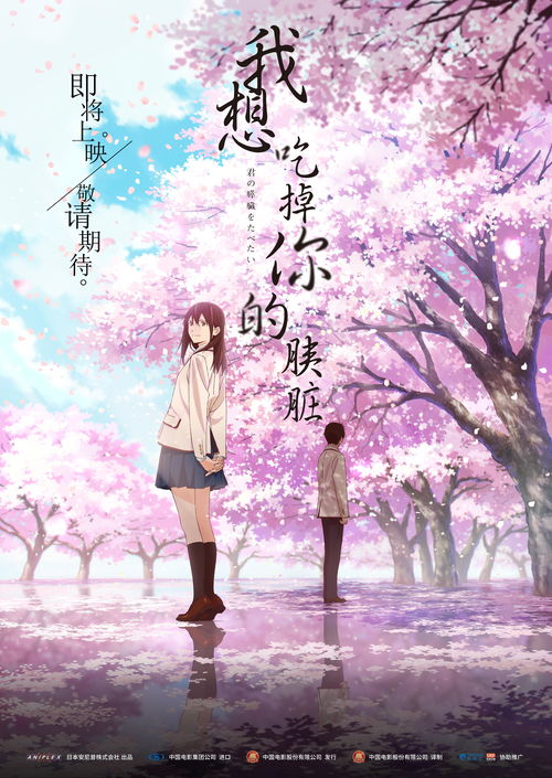《夏目友人帐第七季》：治愈系神作回归，你准