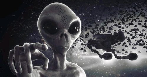 《外星也难民第二季》：当外星人比地球人更懂