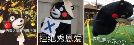 《大怪兽加美拉：重生》：经典怪兽IP的现代重生