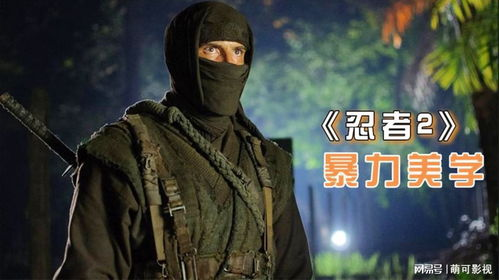 【暴力美学的校园江湖】