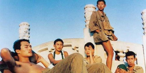《奇蛋物语 特别篇》：少女们的奇幻冒险，还是