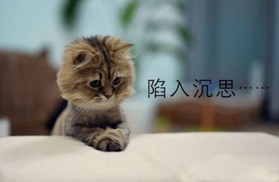《如果历史是一群喵第4-5季》：萌猫演绎历史，