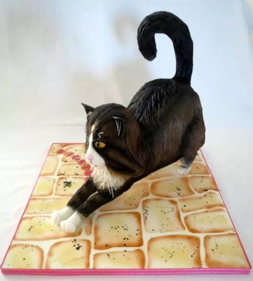 萌猫来袭,历史也能如此有趣!