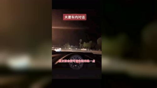 《婚后日常》：甜蜜与琐碎交织的真实婚姻图景