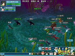 梦幻海底世界的全新冒险