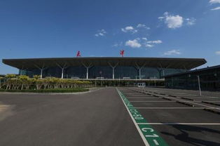 了解天津飞机场航空货运的服务内容