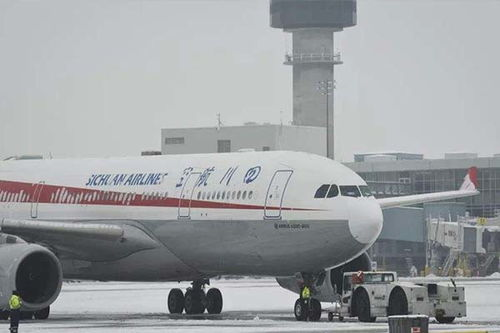 一、航空加急件的基本概念与重要性