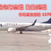 一、了解天津机场空运的基本流程