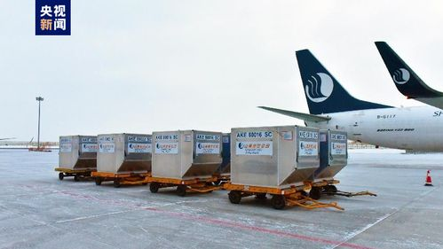现代化基础设施支撑高效航空货运