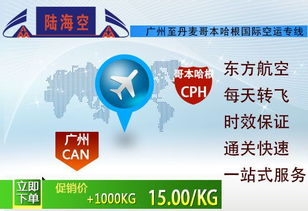 空运标书的核心价值与特殊要求