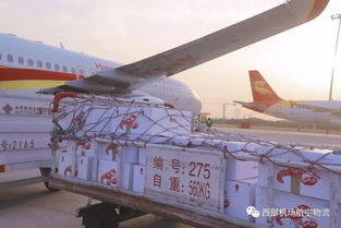 咸阳机场航空快运基础服务全解读