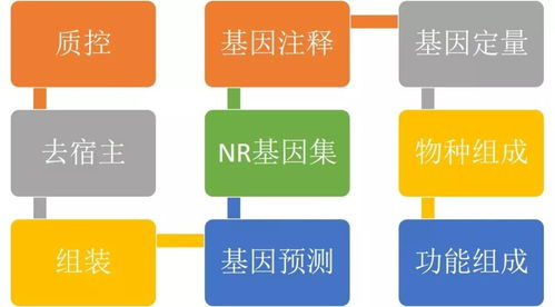 咸阳空运基础流程与操作规范