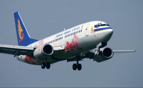 航空物流助推酒类产业升级新机遇