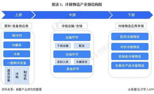 区域空运物流格局与市场需求分析