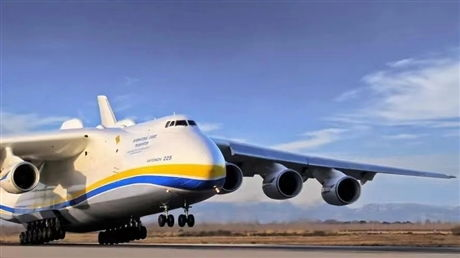 咸阳机场冻品空运的行业定位与核心优势