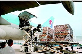 江北空运简介