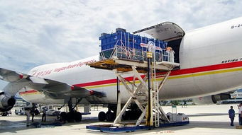 江北样品空运服务介绍