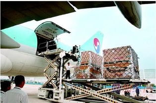 江北重物空运服务特点