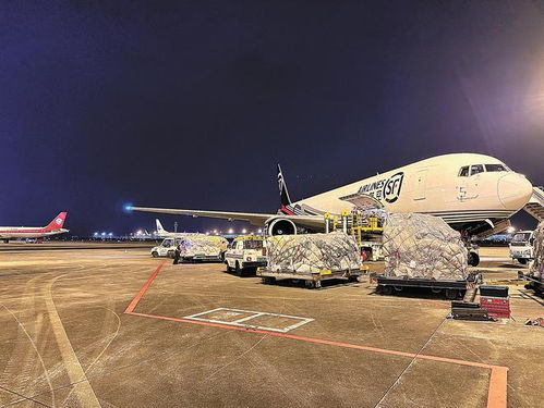 江北寄航空包裹服务介绍