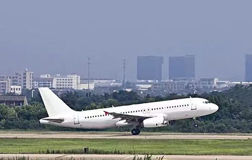 江北国内机场空运服务概览